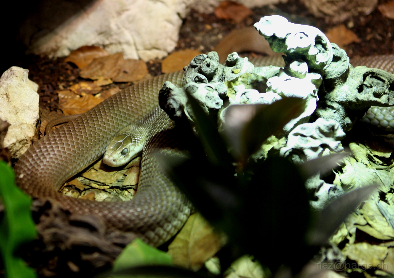 EOS 5D Mark II24_03_20133781.JPG